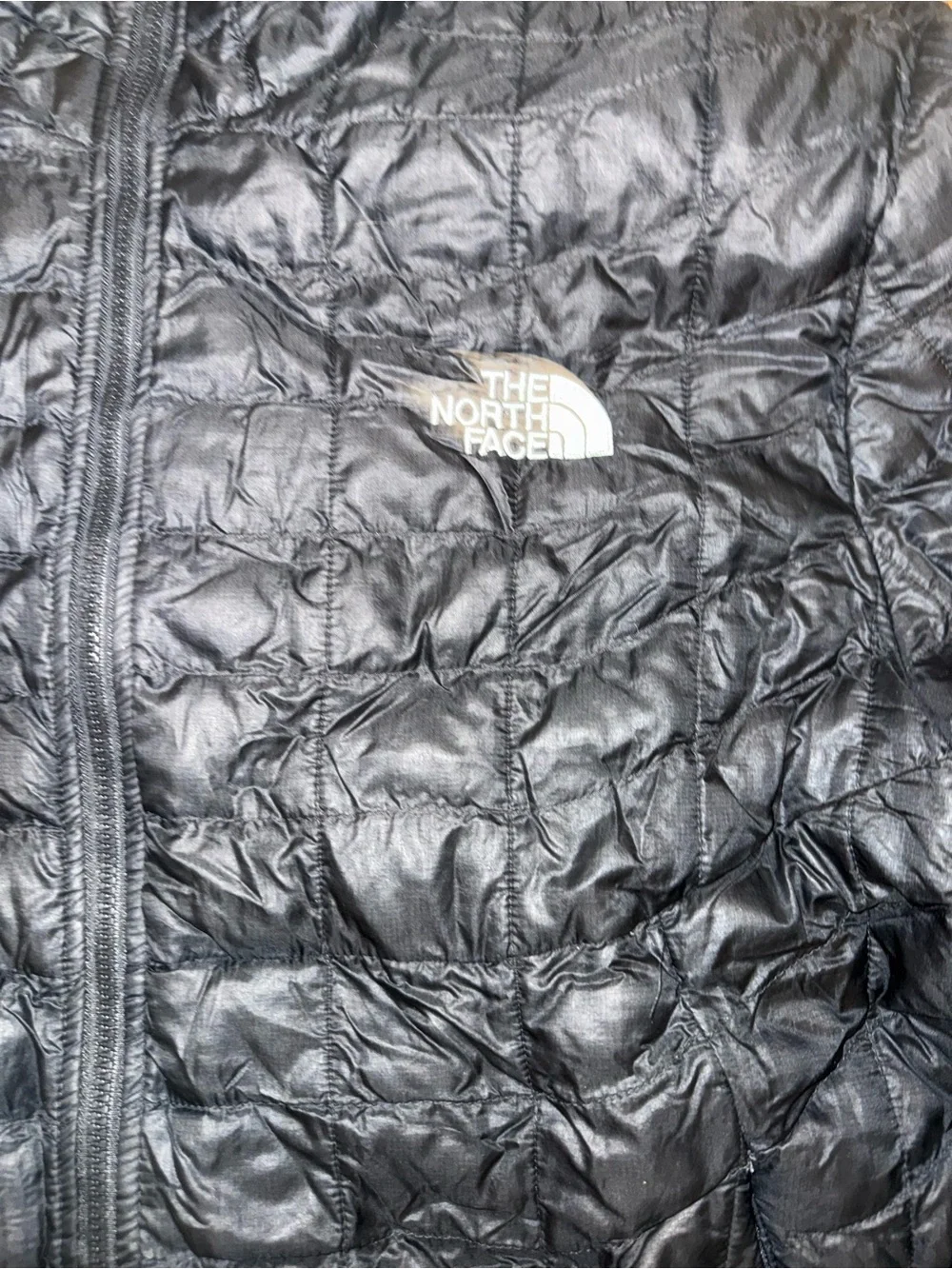 The North Face adult black Quilted Puffer Jacket